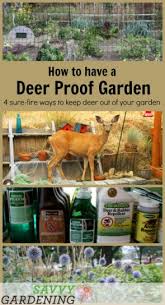 It might even repel larger pests, like rabbits and deer! Deer Proof Gardens 4 Sure Fire Ways To Keep Deer Out Of Your Garden