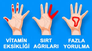 ellerimiz sagligimiz hakkinda ne diyor youtube