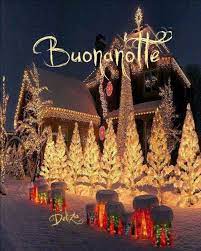 Pin By Marika Iaia 82 On Buonanotte Christmas Light Show Outdoor Christmas Best Christmas Lights