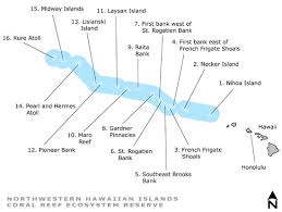 Maybe you would like to learn more about one of these? Nccos Northwestern Hawaiian Islands
