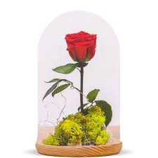Maybe you would like to learn more about one of these? Eternal Flowers Delivery Flower Delivery Valladolid Online Florist Valladolid