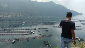 Butuh 70 Tahun Kembalikan Kualitas Air Danau Toba Dari Pencemaran Keramba Jaring Apung Tribun Medan