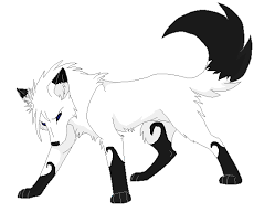 It went by a little to ofast ;but it was indeed very helpful. The Mysterious White Wolf With Black Markings By Xx Lostdatafox Xx On Deviantart