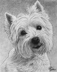 Hyper Realistic Pencil Drawings Of Dogs Dog Art Dog Drawing Westie Dogs Black lab puppies dog pencil drawing art print signed by. dog art dog drawing westie dogs