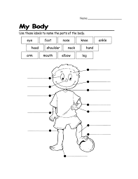 Human body games for kids. Label Body Parts Worksheet For Nursery My Body Lesson Plan Education Com Lesson Plan Education Com Easy Body Parts Drawing For Kids Lubang Ilmu