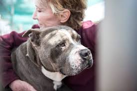 Pin On Oh Give Me A Home P L E A S E