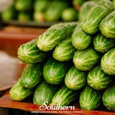Image result for Cucumis
