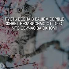 pin na doske zhenshina