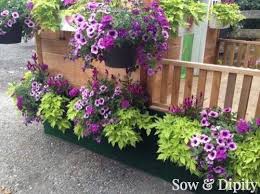 See more ideas about window box, window boxes, flower boxes. 10 Window Box Planter Ideas Container Gardening Garden Containers Window Planter Boxes