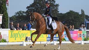We did not find results for: Meet Charlotte Dujardin S Grand Prix Prospect Gio Horse Hound