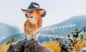 Clean funny memes, prairieville, louisiana. 29 Heckin Funny Doggo Memes That Will Keep You Borking All Day Long Funny Gallery