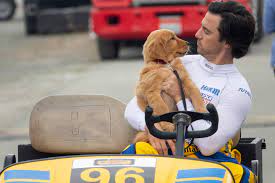 15 movies about golden retrievers. Movie Review Kevin Costner As A Golden Retriever That And More In Dog Movie Art Of Racing In The Rain Deseret News
