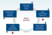 Das herzrasen und die innere unruhe waren in den ersten beiden monaten nach dem absetzen der pille am schlimmsten. Stress Symptome Ratgeber Stress Innere Unruhe