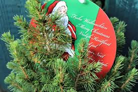 Ob großer oder kleiner weihnachtsbaum, bei einer auswahl von fünf verschiedenen größen findet jeder käufer den perfekten baum für sein zuhause. Weihnachtsbaum Im Topf Die Besten Tipps Und Tricks Von Lubera