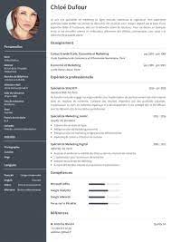 Faire Un Cv Professionnel En Ligne Ici Cvmaker