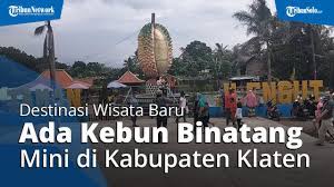 Rizieq akan diputus dalam perkara kerumunan petamburan, jakarta pusat dan megamendung, bogor. Desa Ini Hadirkan Kebun Binatang Mini Hingga Taman Bermain Anak Tribun Video