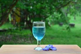 10 Top Health Benefits Of Blue Butterfly Pea Flower Tea Clitoria Ternatea Tea Wildturmeric Butterfly Pea Flower Butterfly Pea Butterfly Pea Tea