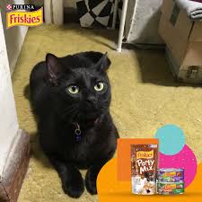 Friskies Puerto Rico