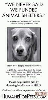 The Humane Society Of The United States Does Not Help Help To Fund Animal Shelters If You Want To Help Shelter Pets Donate Animal Shelter Humane Society Dogs