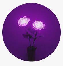 Violet aesthetic dark purple aesthetic lavender aesthetic aesthetic colors aesthetic collage aesthetic pictures purple purple aesthetic on instagram: Lights Rose Purple Flower Aesthetic Purpleaesthetic Purple Aesthetic Hd Png Download Transparent Png Image Pngitem