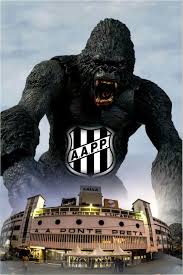 Foi fundada em 11 de agosto de 1900 por um grupo de estudantes e suas cores são preto e branco. 26 Ideias De Ponte Preta Ponte Associacao Atletica Ponte Preta Preto