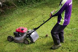 The best lawn care acworth, ga has to offer. Who Should Pay For Lawn Care Crewcut Lawn Garden