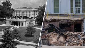 Image result for Bidens diversa