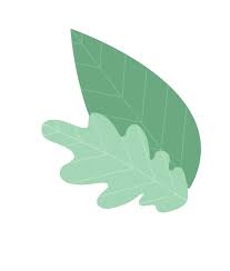 Another similar free app is fetch reward, which also lets you scan receipts and make money. Acorns