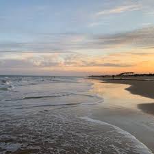 Luna Martinez on Twitter: "Café de gatos. Punta del Este. Maldonado.  Uruguay… "