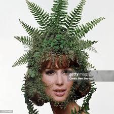 411 fotos e imágenes de alta resolución de Bert Rose