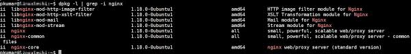 In this article, i will take you through 31 useful grep command examples in linux/unix. 20 Useful Grep Command Examples In Linux