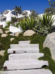 Casuarina Cousin It Furcraea Landscape Design Garden Stairs Coastal Gardens