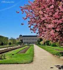 Jardin Des Plantes Paris Jardin Des Plantes Paris Plante Jardin Museum Histoire Naturelle Paris