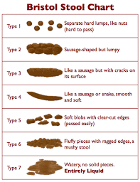 Whats A Healthy Bowel Movement Check Out The Stool Chart