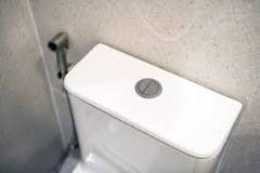 Advantages & Disadvantages of Dual Flush Toilets | Snell