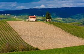 Farmhouse la presura is best for families with. 15 Best Agriturismo In Tuscany Near Florence Wine Country