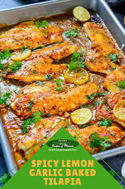 Spicy Lemon Garlic Baked Tilapia Grilled Fish Recipes Fish Recipes Healthy Tilapia Fillet Recipe