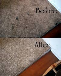 Sunshine And A Summer Breeze How To Remove Carpet Stains Stain Remover Carpet Cleaning Carpet Stains Removing Carpet
