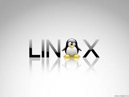 Linux Penguin Wallpaper Linux Kernel