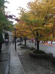 Musim luruh.autumn, antara musim yang paling sesuai untuk penduduk sekitar asia tenggara terutama dari malaysia dan. Chamchimayo Travel Pakej Murah Ke Korea Suasana Musim Luruh Di Korea Uni Suhu Skrg Dlm 10 15 Degree Facebook