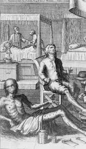 Chlamydia Muridarum - An Overview | Sciencedirect Topics
