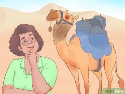 Few Buyers For Eid Camels As Record Inflation Hits Pakistan | Religion News  | Al Jazeera