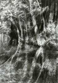 The Hague Forest 23 06 15 Drawings Sketch By Corne Akkers Artist Com There is a request so here is goes. the hague forest 23 06 15 drawings