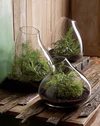 Amazing Recycled Glass Terrariums Succulents In Glass Miniature Garden Glass Terrarium