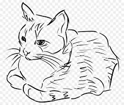 Amazon music stream millions of songs: Kucing Gambar Garis Seni Gambar Png