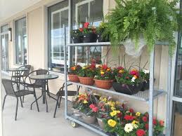 Pick your own (pyo) strawberries are a highlight of many families in our neighbourhood. Strawberries From Our Farm Or Pick Your Own At Reesor S Farm Market Picture Of Reesor S Market Bakery Whitchurch Stouffville Tripadvisor