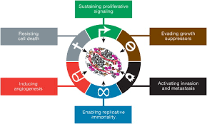 Genes inside the nucleus of each cell tell it when to grow, work, divide and die. Hallmarks Of Cancer The Next Generation Sciencedirect