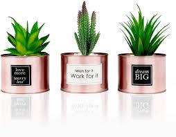 Lift your spirits at work by adding some greenery to the office. Amazon Com Office Decor For Women Desk Rose Gold Decor Desk Plant For Bookshelf Decor Boho Bedroom Decor For Women College Dorm For Girls Artificial Plant Cactus Succulent Kitchen Decorations