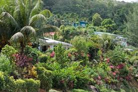 The population of mahé was 77,000, as of the 2010 census. Domy Na Ostrove Mahe Foto Fotografie Seychely Seychelles Islands The Good Place Island