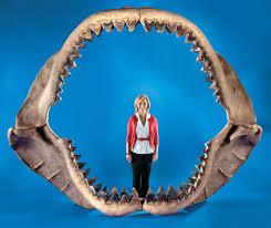 What are facts about shark teeth? Megalodon Size Fossil Teeth Facts Britannica